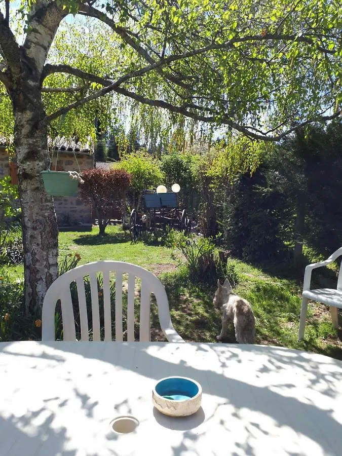 Séjour à la campagne Maison d'hôtes GITE LES GILLES ET SES ANIMAUX CALME-BON AIR - 5 personnes à Pinet  France